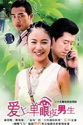 电视剧《爱上单眼皮男生》剧情介绍