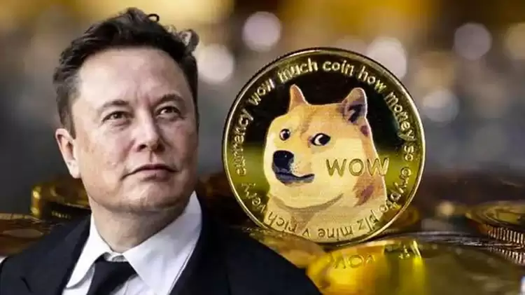马斯克辟谣DOGE传闻:狗狗币抄底机会何在？