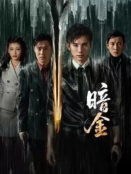 电视剧《暗金》剧情介绍