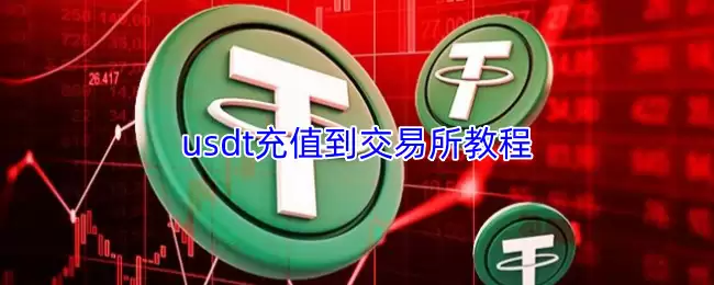 wallet里的usdt充值到交易所教程(wallet转到交易所的方法)