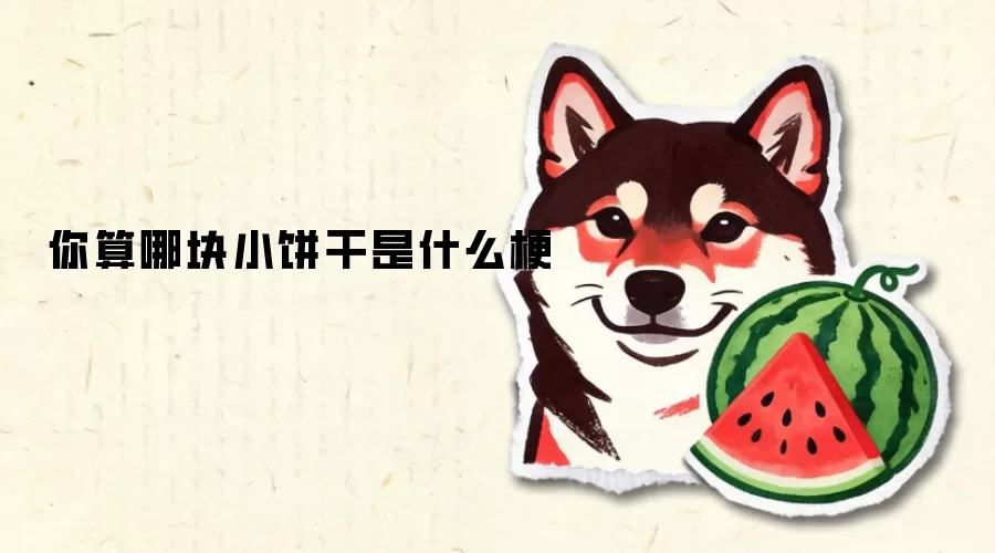 你算哪块小饼干是什么梗