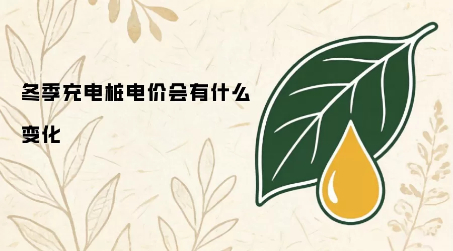 冬季充电桩电价会有什么变化