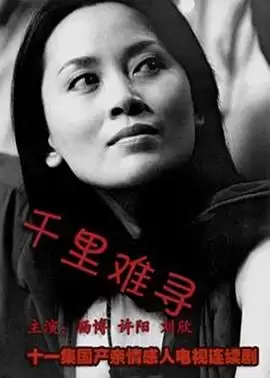 电视剧《千里难寻》剧情介绍