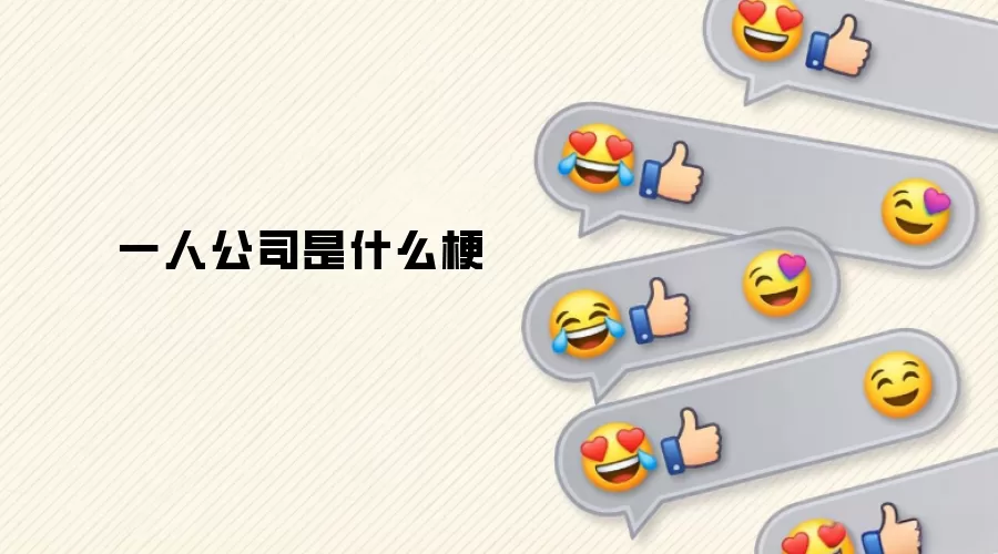 一人公司是什么梗