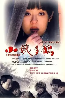 电视剧《小姨多鹤》剧情介绍