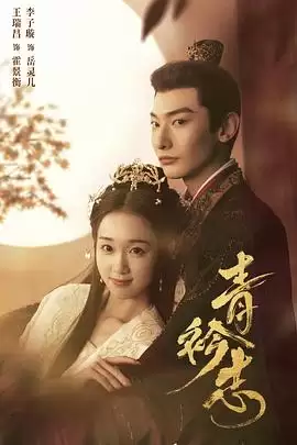 电视剧《青衿志》剧情介绍