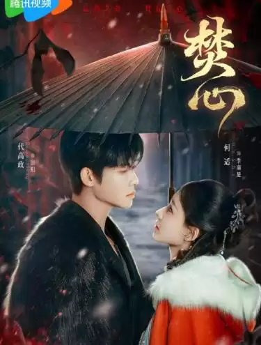 电视剧《焚心》剧情介绍