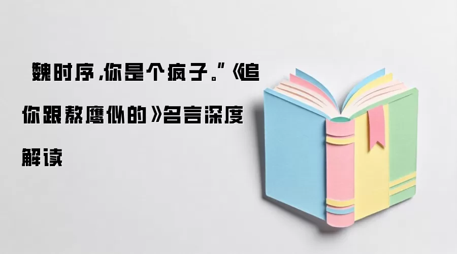 “魏时序，你是个疯子。”《追你跟熬鹰似的》名言深度解读