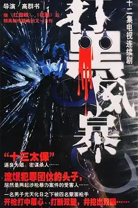电视剧《打黑风暴》剧情介绍