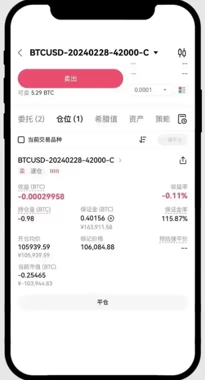 仓位查看界面