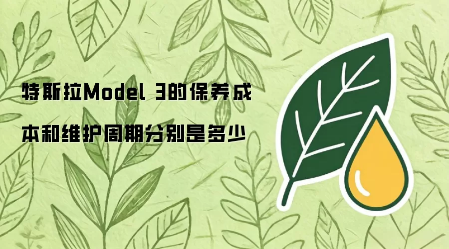 特斯拉Model 3的保养成本和维护周期分别是多少