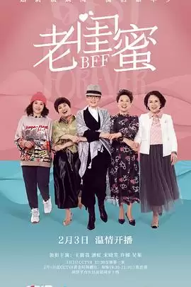 电视剧《老闺蜜》剧情介绍