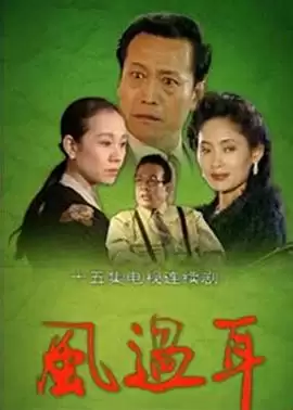 电视剧《风过耳》剧情介绍