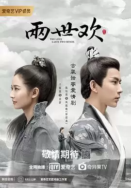 电视剧《两世欢》剧情介绍