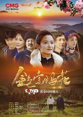 电视剧《金色索玛花(2020)》剧情介绍