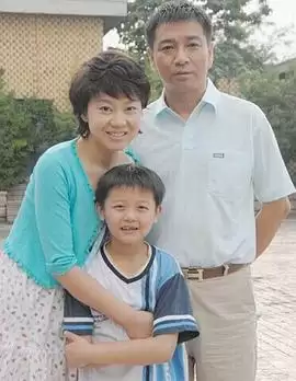 电视剧《回家》剧情介绍