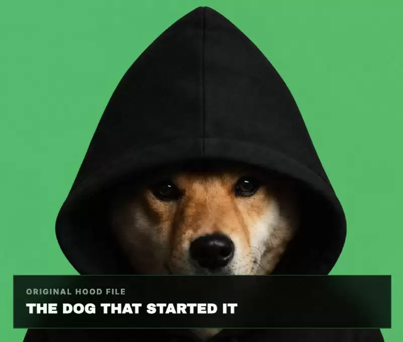 Robinhood Chain 生态上哪些代币火了