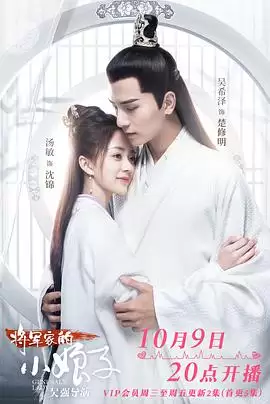 电视剧《将军家的小娘子》剧情介绍