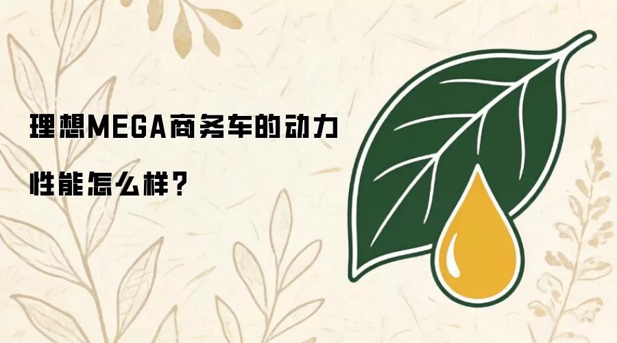 理想MEGA商务车的动力性能怎么样？