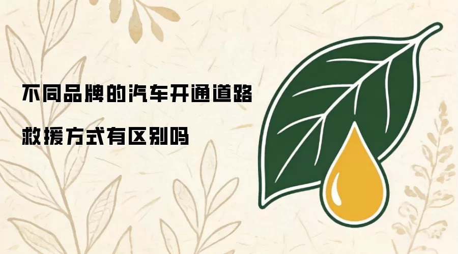 不同品牌的汽车开通道路救援方式有区别吗
