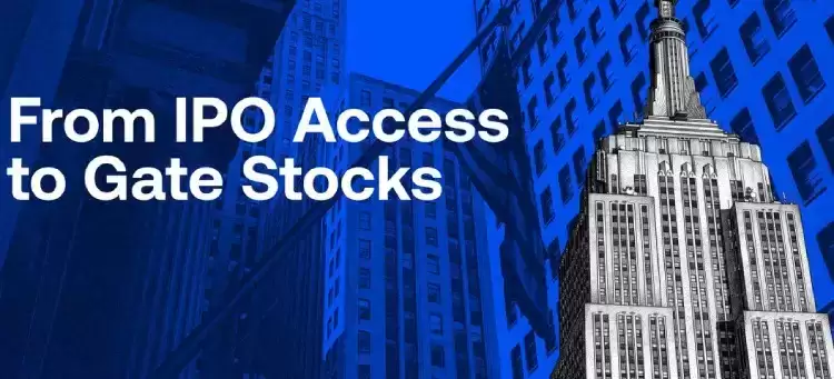 SpaceX IPO Access介绍