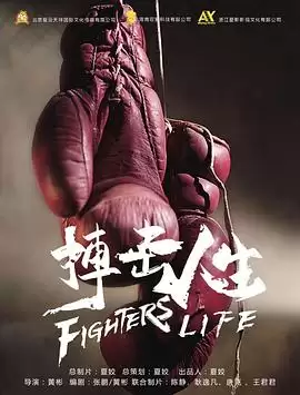 电影《搏击人生》剧情介绍