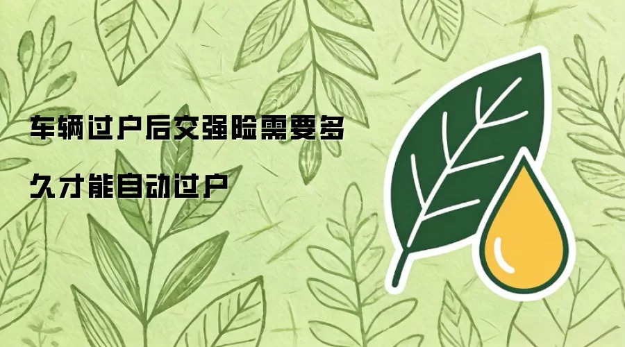 车辆过户后交强险需要多久才能自动过户