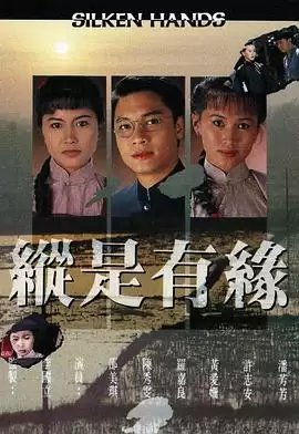 电视剧《自梳女》剧情介绍