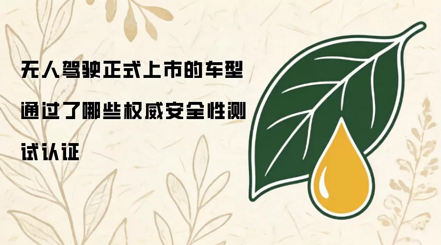 无人驾驶正式上市的车型通过了哪些权威安全性测试认证