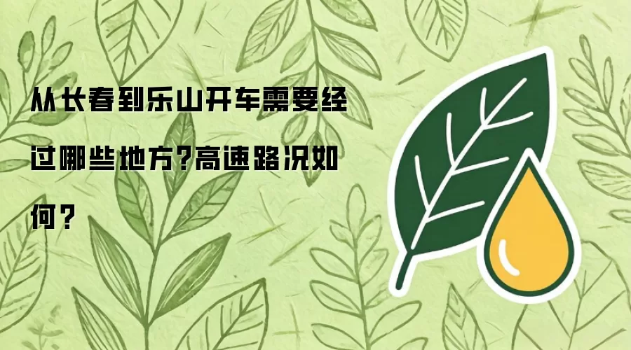 从长春到乐山开车需要经过哪些地方？高速路况如何？