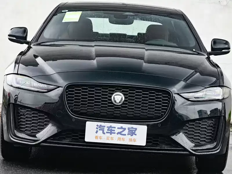 捷豹车标美洲豹