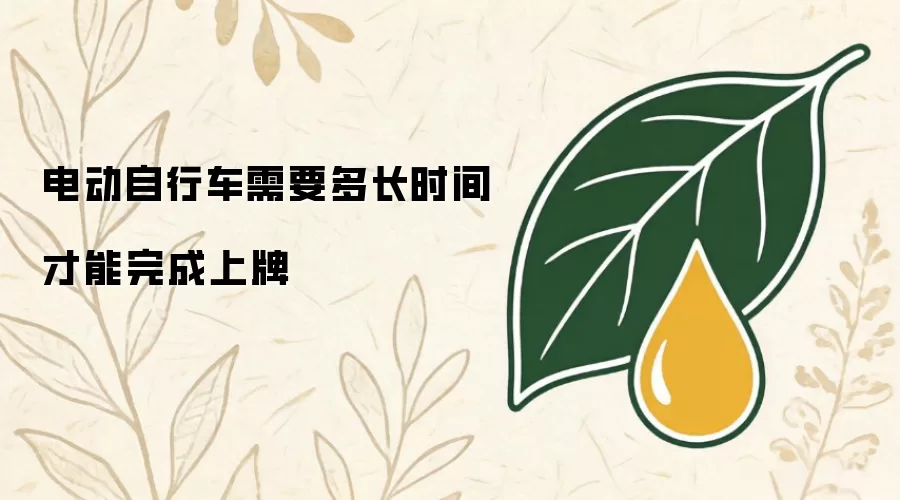 电动自行车需要多长时间才能完成上牌