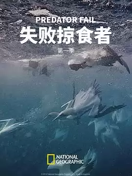 电视剧《失败掠食者第一季》剧情介绍