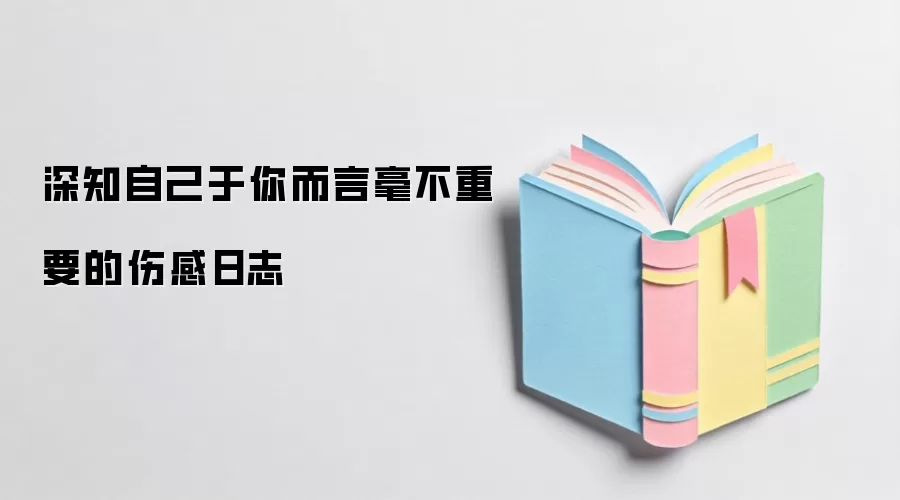 深知自己于你而言毫不重要的伤感日志