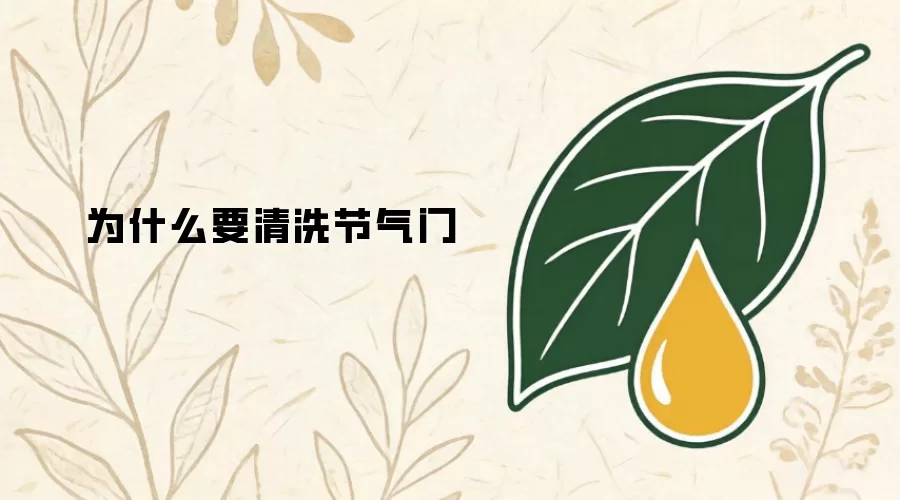 为什么要清洗节气门