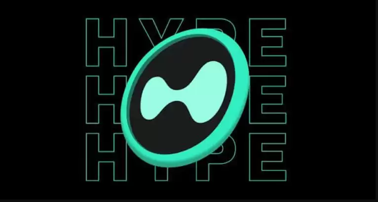 Hyperliquid（HYPE）：链上永续合约的性能王者