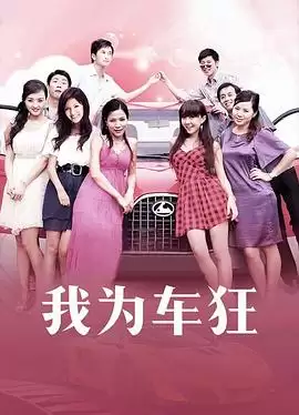电视剧《我为车狂》剧情介绍