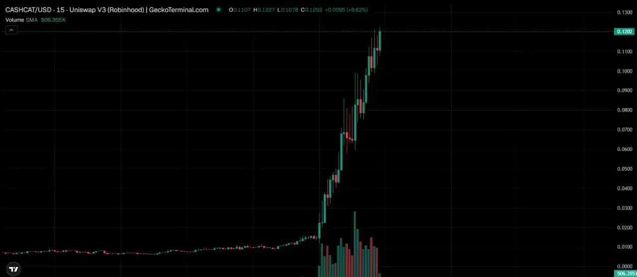 CASHCAT为何突然爆红？