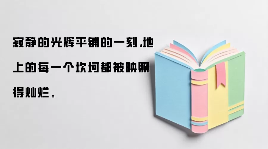 寂静的光辉平铺的一刻,地上的每一个坎坷都被映照得灿烂。