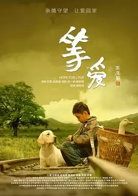 电影《等爱》剧情介绍