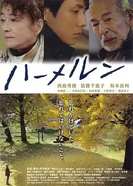 电影《哈默尔恩》剧情介绍
