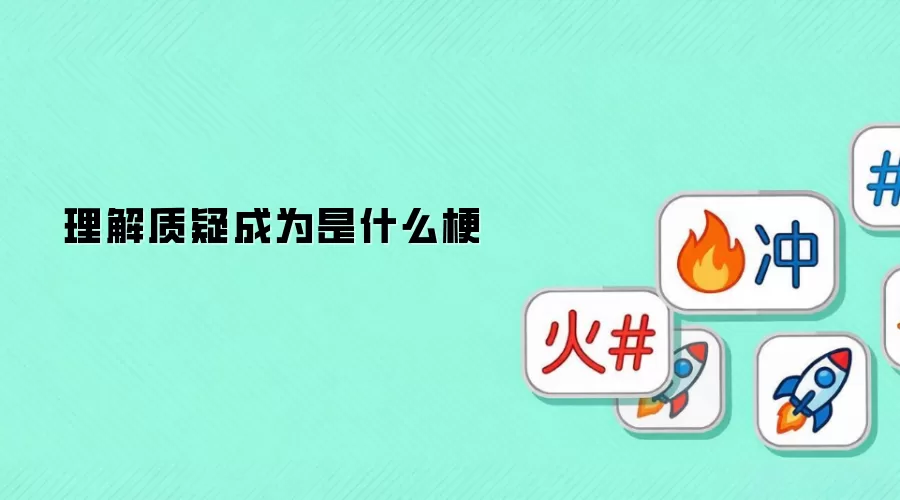 理解质疑成为是什么梗