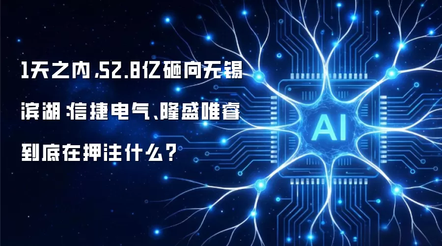 1天之内，52.8亿砸向无锡滨湖：信捷电气、隆盛唯睿到底在押注什么？