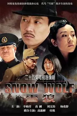 电视剧《雪狼》剧情介绍
