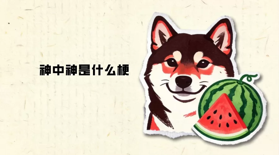 神中神是什么梗