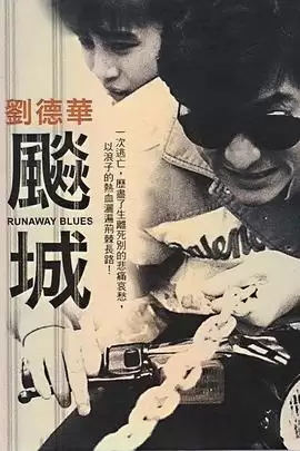 电影《飙城》剧情介绍