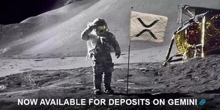 Gemini疑似出现价格故障,XRP一度触及50美元