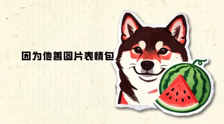 因为他善图片表情包