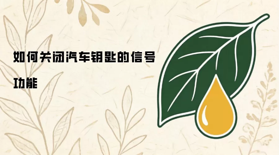 如何关闭汽车钥匙的信号功能