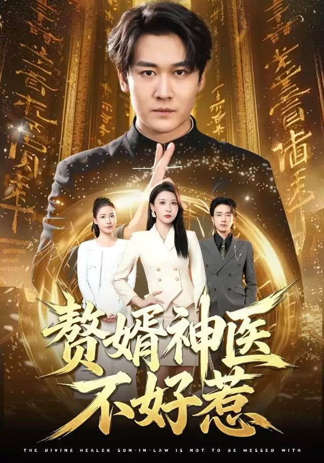 短剧《赘婿神医不好惹》剧情介绍